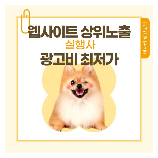 일산강아지분양 상위노출